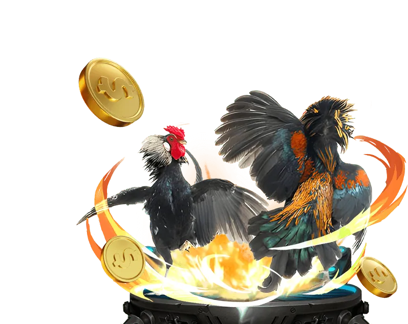 Đá Gà Trực Tuyến Alo 789